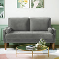Canape en Velours de Couleur Gris